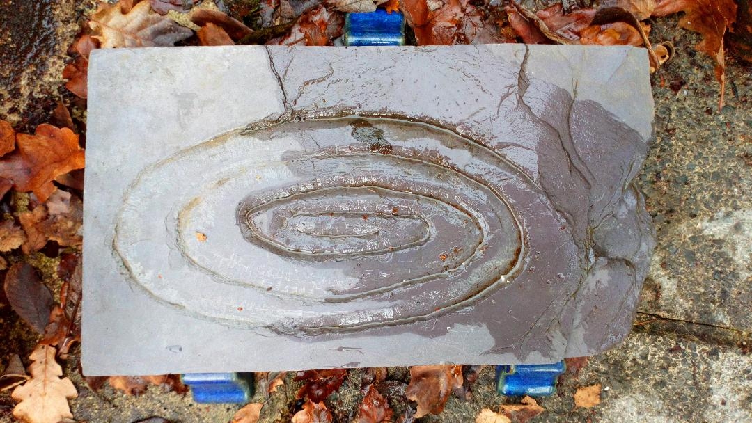 Spiral by Hilary Bryanston